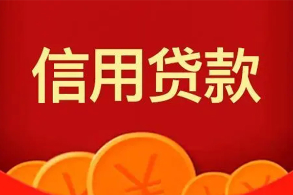 嘉兴贷款私借空放